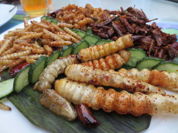 Close-up of food on plate