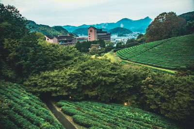 High angle view of houses amidst trees and buildings