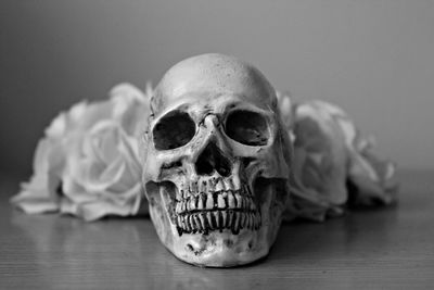 Close-up of human skull on table