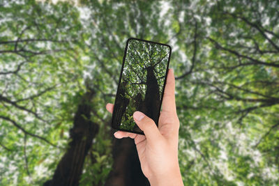 Close-up of hand holding mobile phone