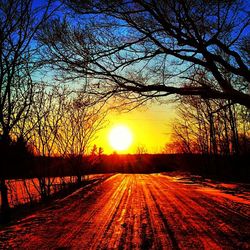 Silhouette of trees at sunset