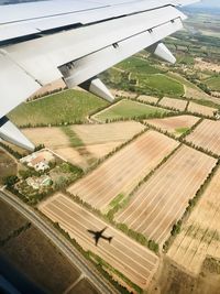 Aerial view of agricultural landscape