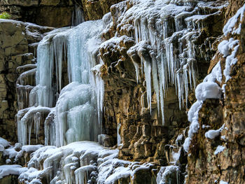 Low angle view of icicles on rock at forest during winter