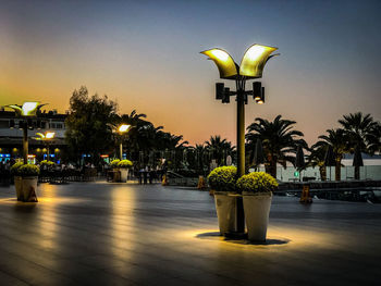 Potted plant on street light