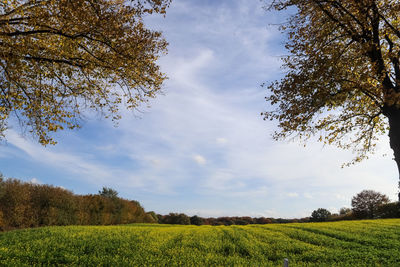 Beautiful clouds in a blue sky over a northern european landscape