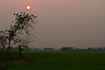 Scenic view of field against sky at sunset