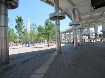 Street lights in park