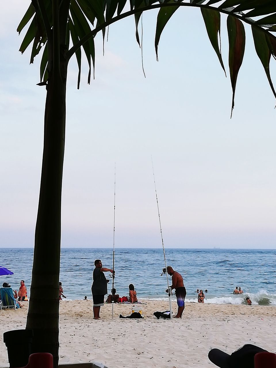 sea, water, sky, beach, land, real people, horizon over water, horizon, group of people, leisure activity, nature, men, beauty in nature, lifestyles, scenics - nature, sand, day, tree, palm tree, outdoors