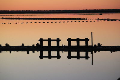 Silhouette birds on riverbank against clear sky