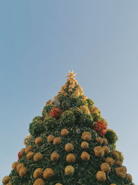 A christmas tree in cebu city's senior citizens park during dusk.