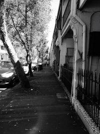 Narrow footpath along houses