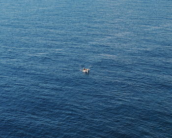 High angle view of man on boat sailing in sea