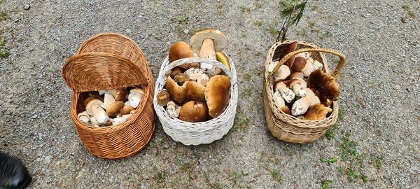High angle view of mushrooms in basket