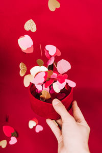 Close-up of hand holding pink flower against red background