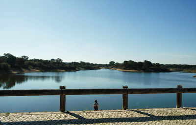 Rear view of man overlooking calm lake