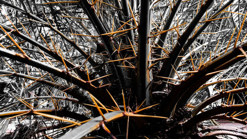 Full frame shot of plants