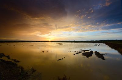 Scenic view of sea during sunset