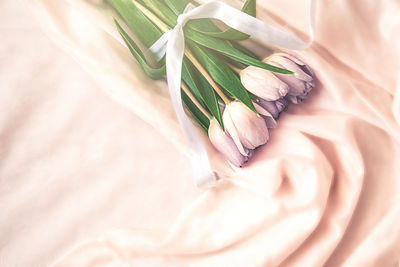 High angle view of white rose on table