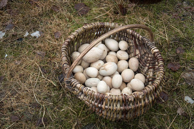High angle view of easter eggs in basket on field