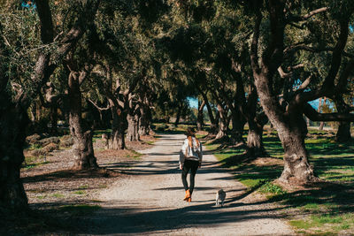 Full length rear view of woman walking with dog amidst trees at park