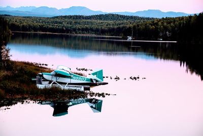 Scenic view of lake by trees against sky