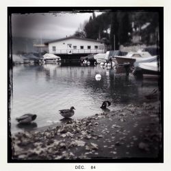 View of boats in water