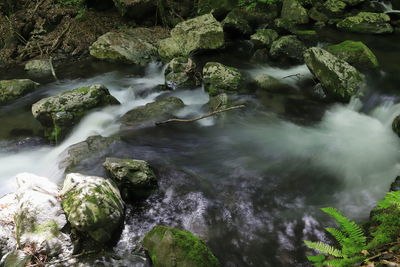 Scenic view of waterfall in forest