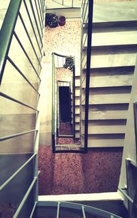 Staircase in building