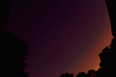 Low angle view of silhouette trees against sky at night