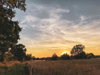 Scenic view of field against sky during sunset