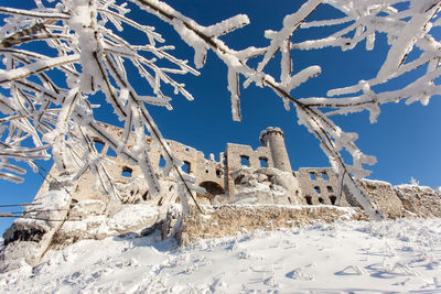 Low angle view of snow covered trees against blue sky