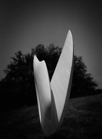 Close-up of white flower on field against sky
