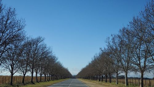 Empty road amidst trees against clear blue sky