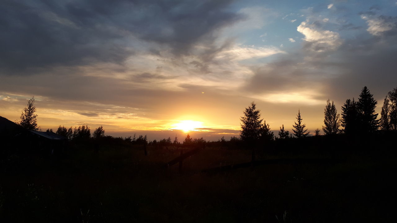 sky, sunset, silhouette, cloud - sky, beauty in nature, tree, scenics - nature, tranquil scene, tranquility, nature, orange color, landscape, plant, environment, no people, non-urban scene, sun, idyllic, outdoors, land