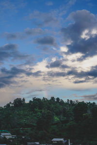 Scenic view of trees against sky during sunset