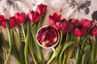 Close-up of pink roses