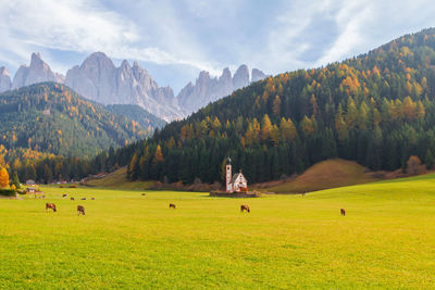 Scenic view of field and mountains against sky