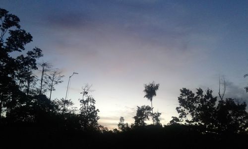 Silhouette trees against sky during sunset