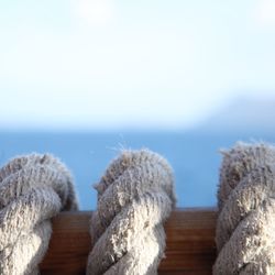 Close-up of wood against sea