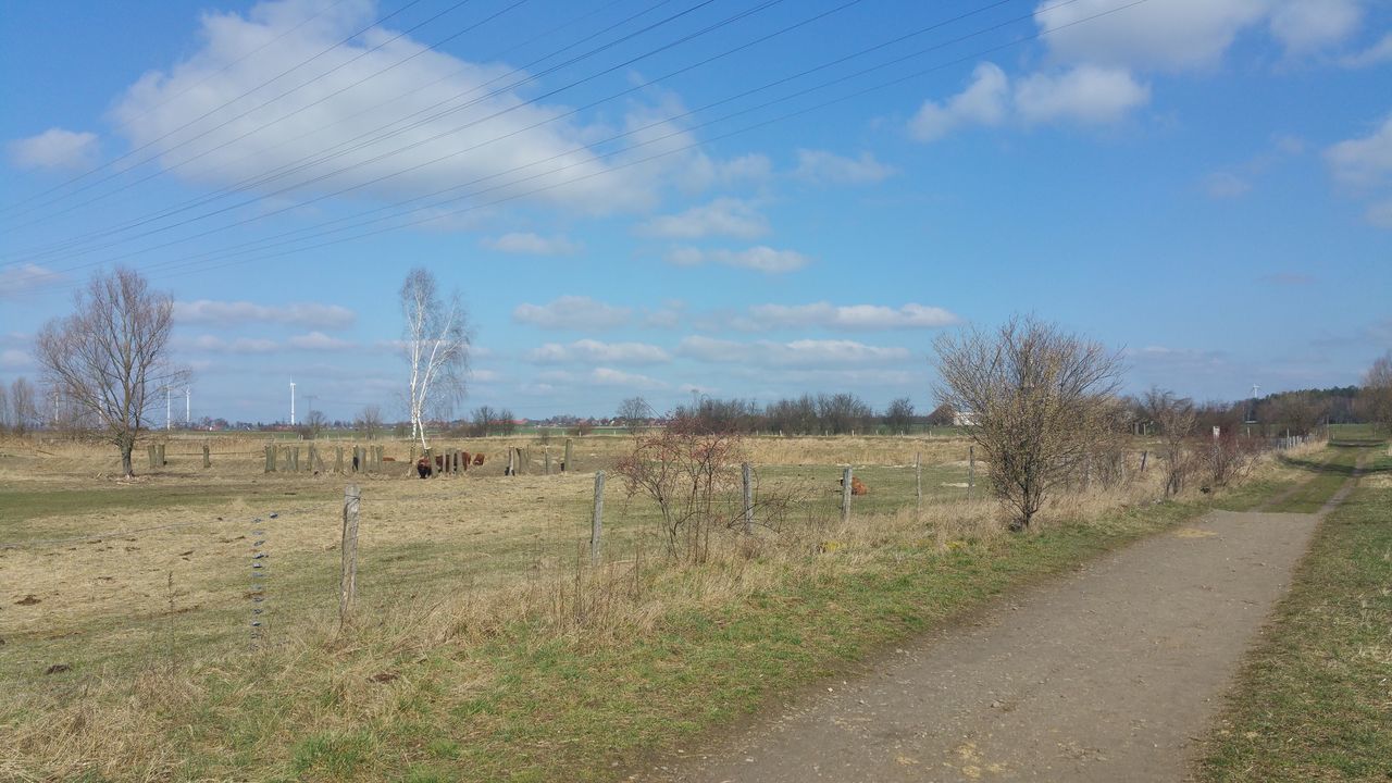 sky, field, grass, landscape, tree, tranquility, tranquil scene, cloud - sky, nature, blue, cloud, rural scene, the way forward, bare tree, scenics, grassy, beauty in nature, day, growth, road