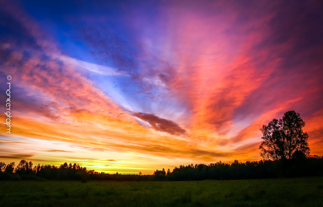 SCENIC VIEW OF SUNSET OVER LANDSCAPE