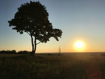 Silhouette tree on field against sky during sunset