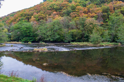 Scenic view of lake in forest during autumn