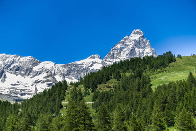 Scenic view of snowcapped mountains against clear blue sky