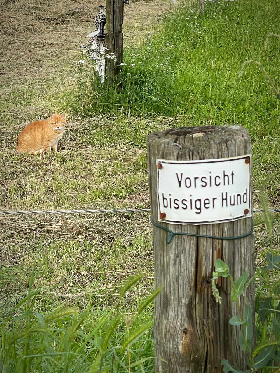 INFORMATION SIGN ON GRASS