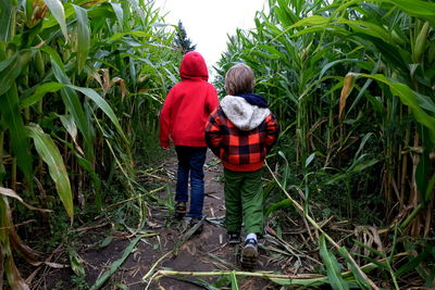 Rear view of boys walking amidst crops on field 