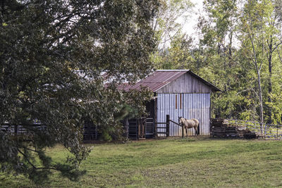 View of a house on a field