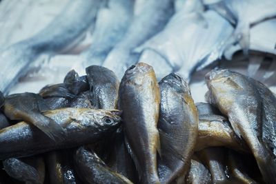 Full frame shot of fish for sale in market