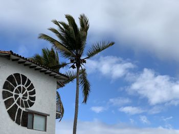 Low angle view of palm tree by building against sky