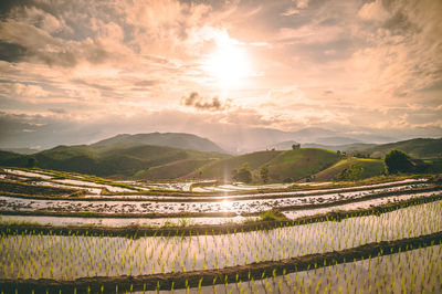 Scenic view of agricultural field against sky during sunset